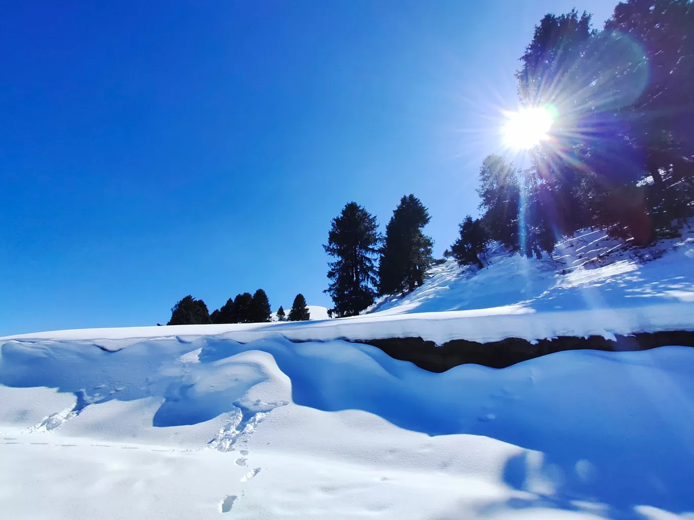 Photo of Parashar Lake By Vertika Verma