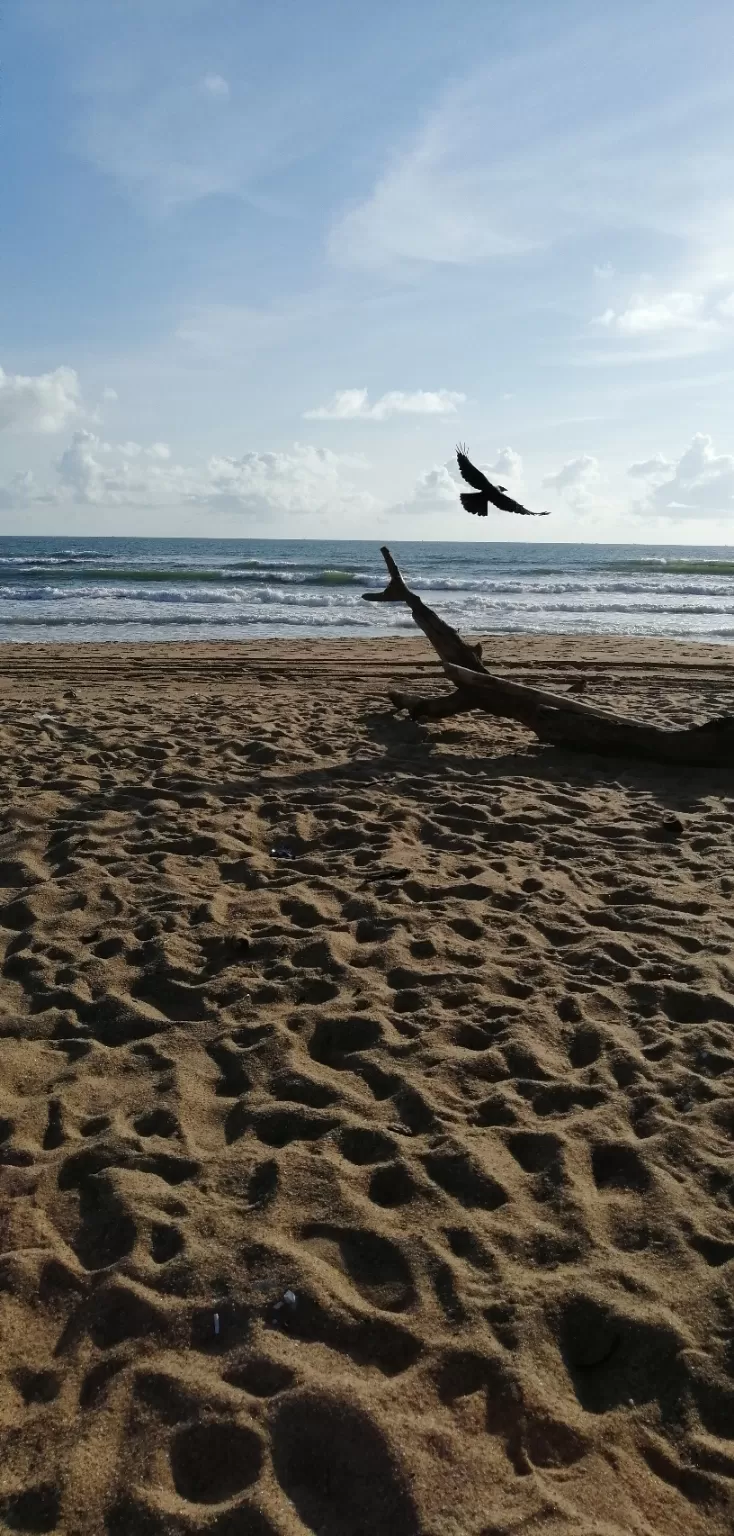 Photo of Calangute Beach By Pranay Kumar