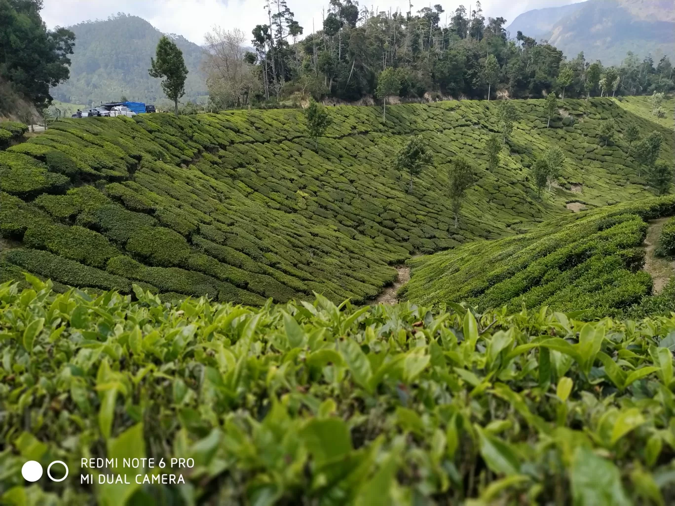 Photo of Chokramudi Peak By Afsal Afi