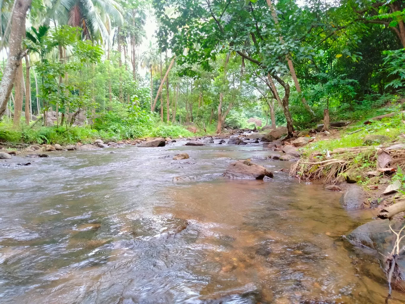 Photo of Palakkad By Afsal Afi