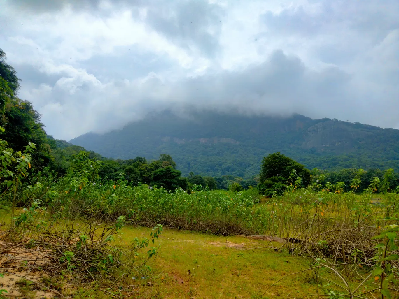 Photo of Palakkad By Afsal Afi