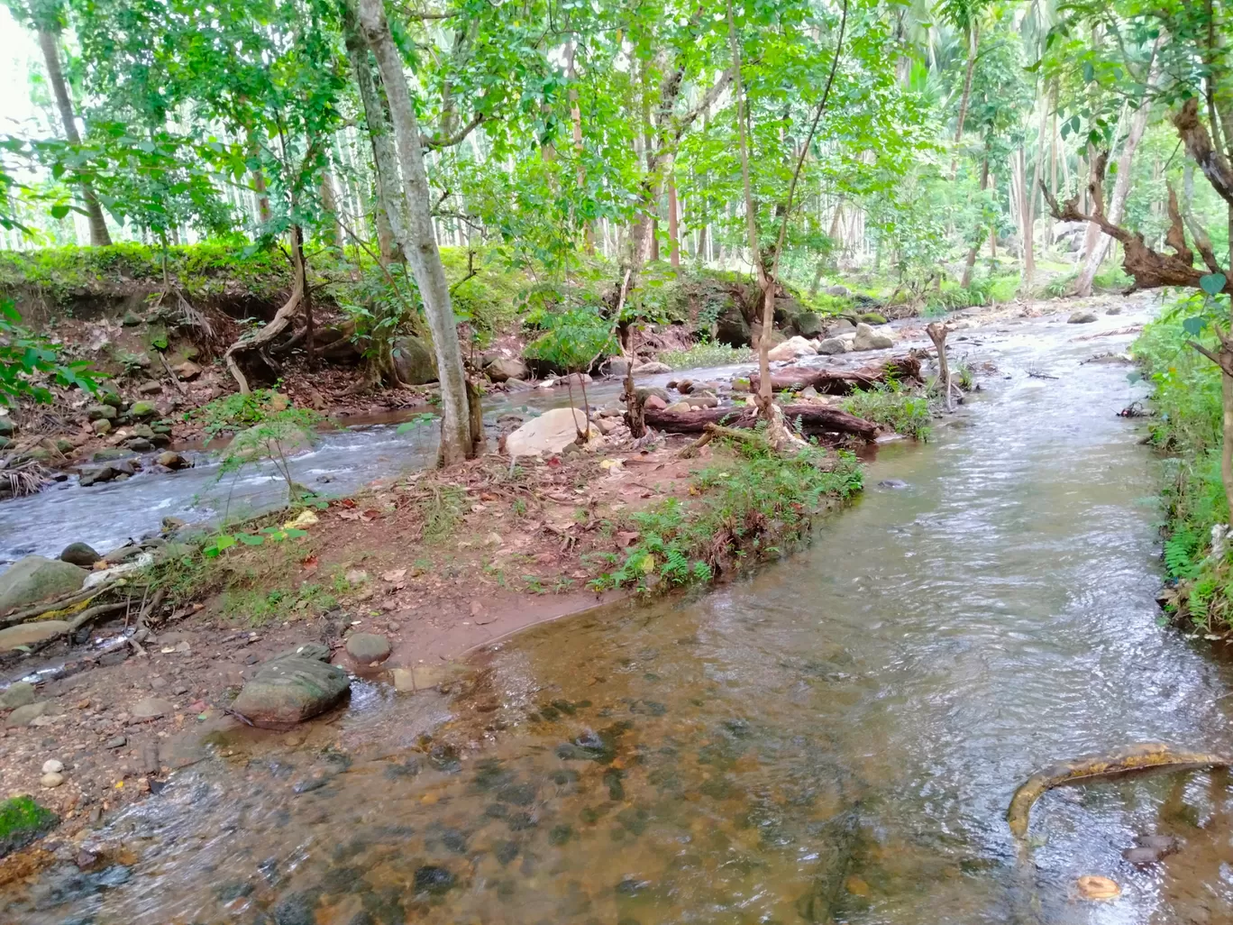 Photo of Palakkad By Afsal Afi