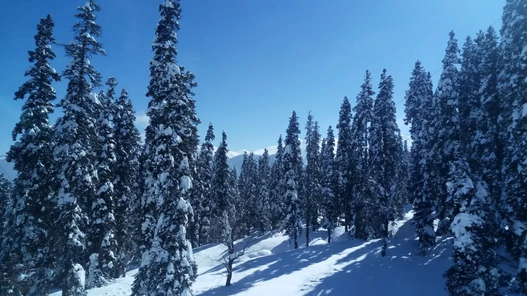 Photo of Gulmarg By Azhar khan
