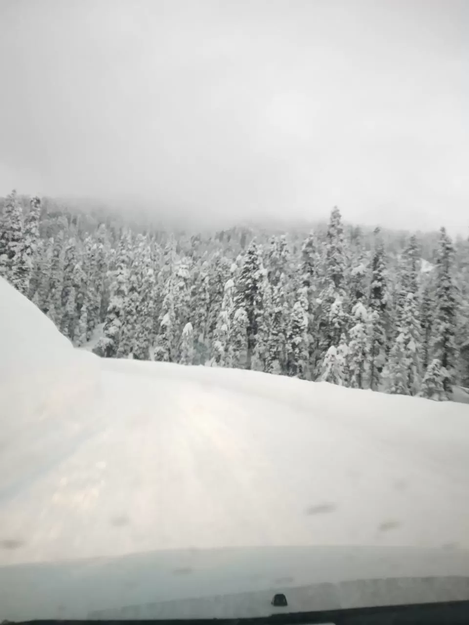 Photo of Gulmarg By Azhar khan