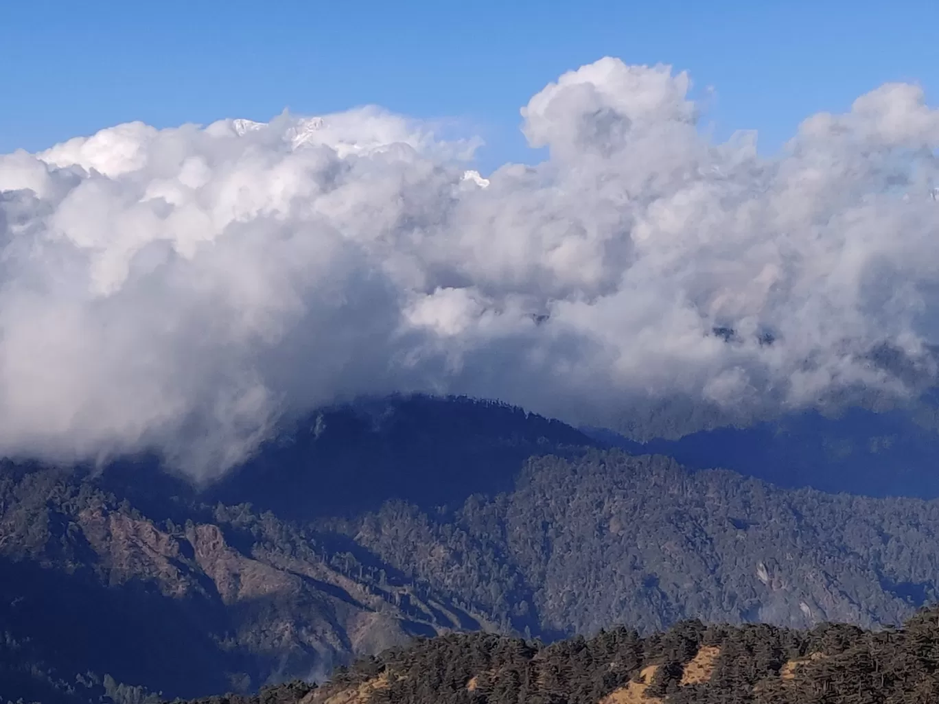 Photo of Sandakphu By Deeksha Saxena