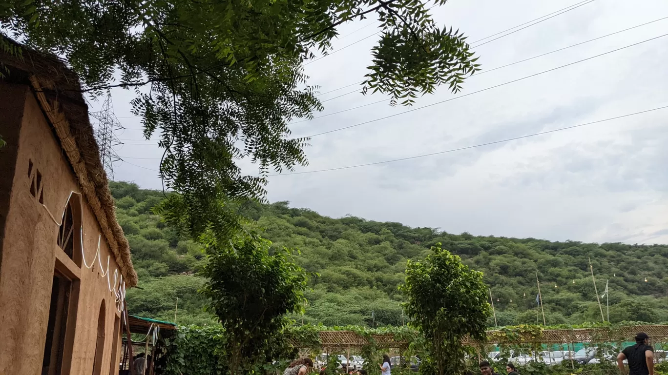 Photo of Leopard Hills By Chandan Rathore