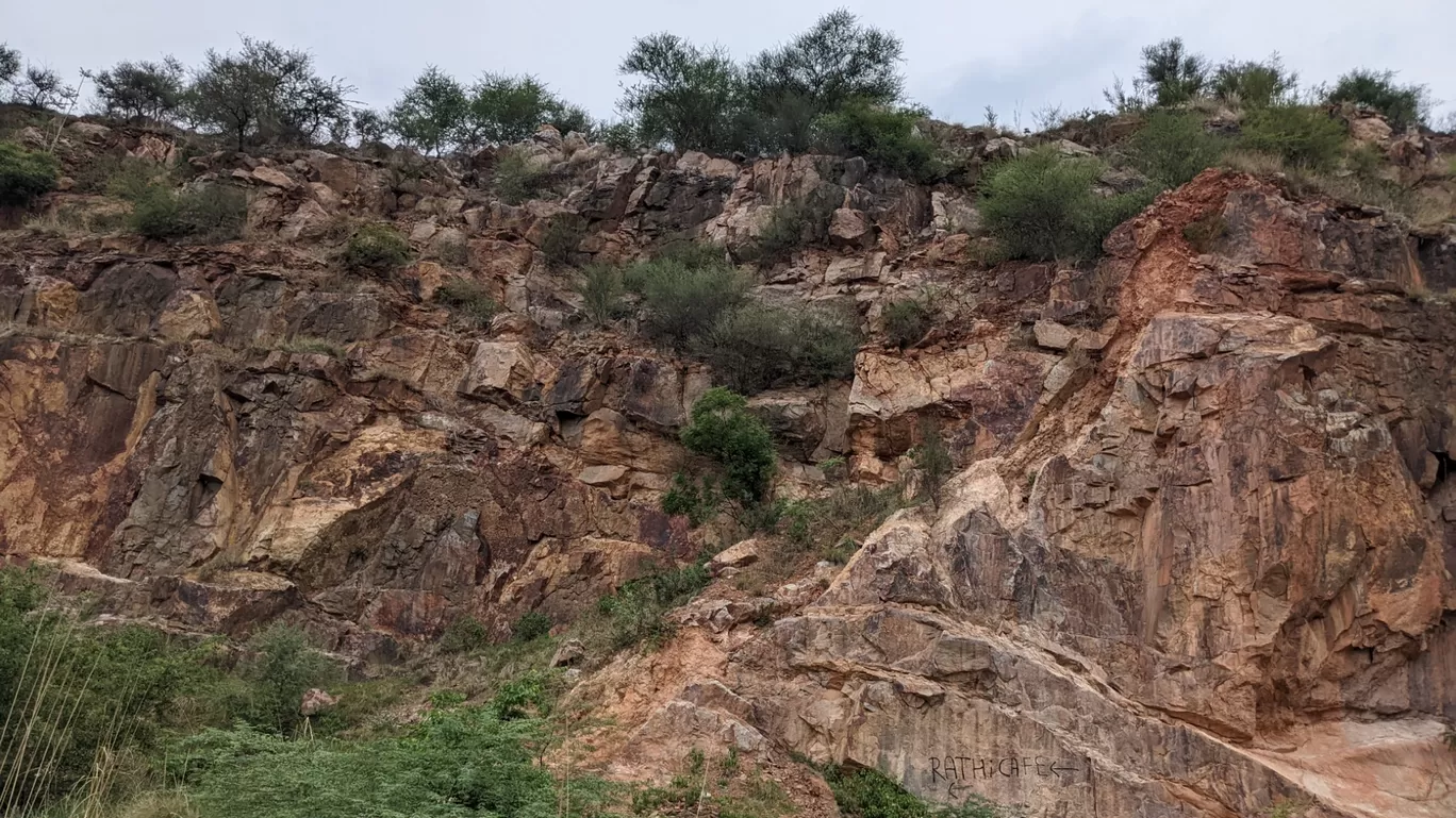 Photo of Leopard Hills By Chandan Rathore