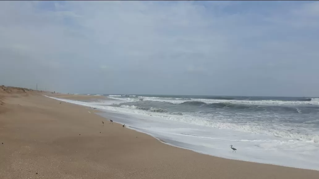Photo of Madhavpur Beach
