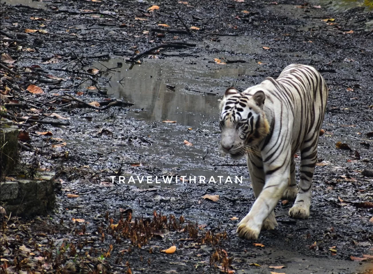 Photo of Bhagwan Birsa Biological Park By Travelwithratan