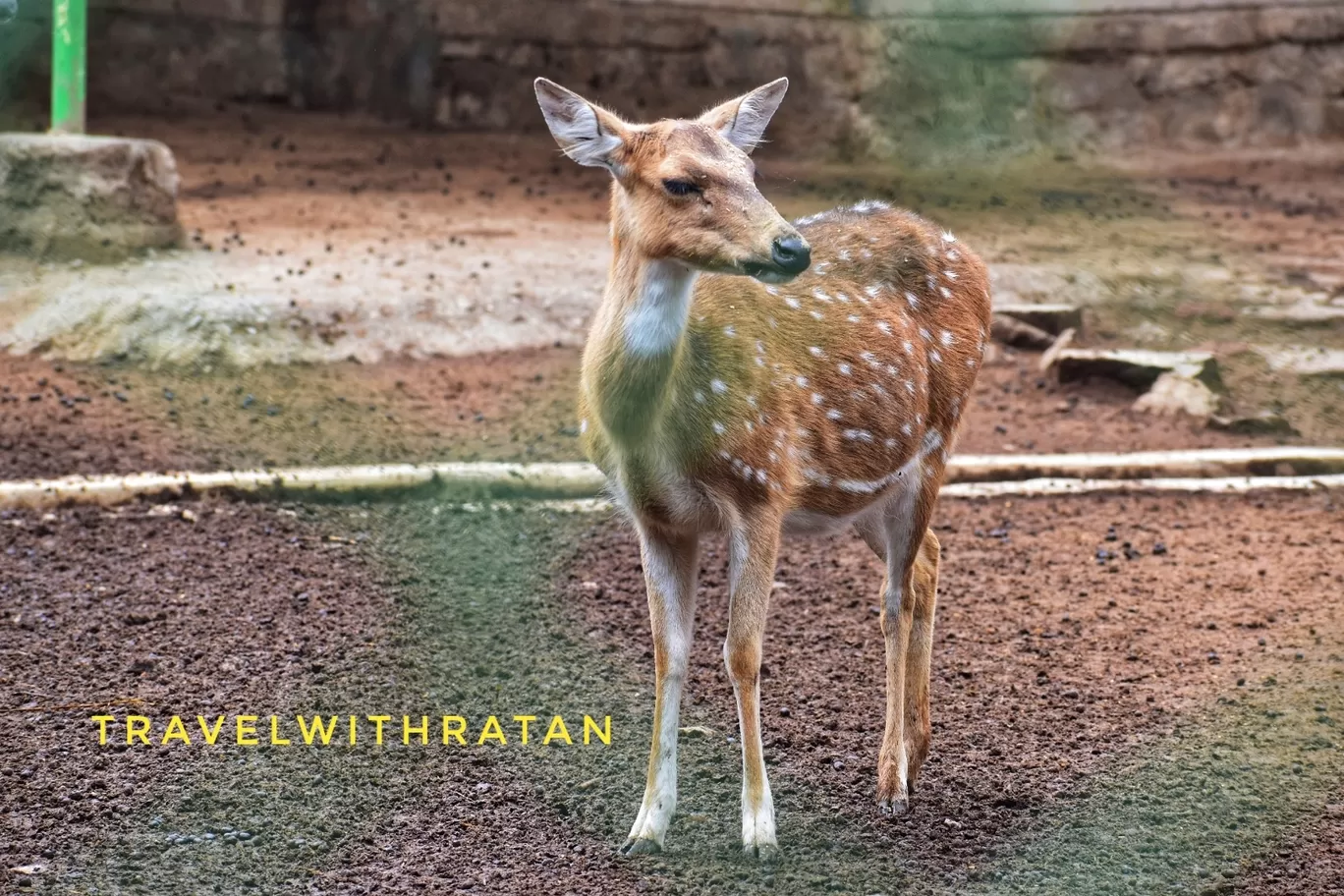 Photo of Bhagwan Birsa Biological Park By Travelwithratan