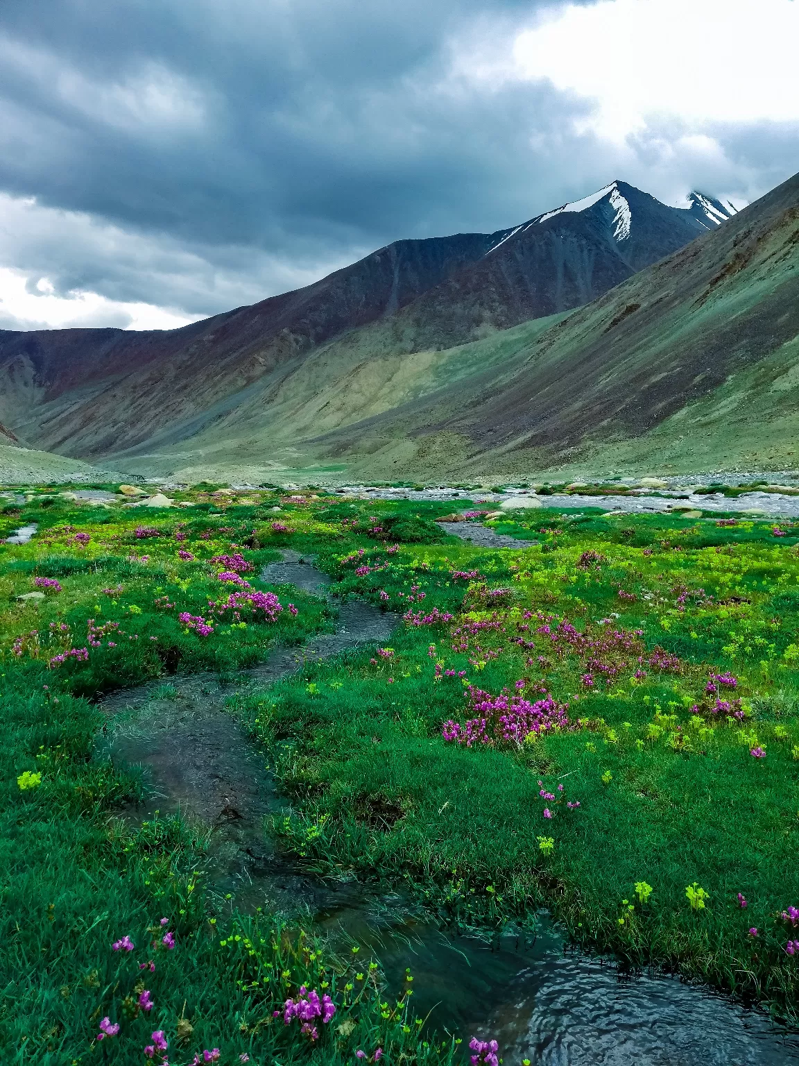 Photo of Pangong Lake By Avinash Chowdary