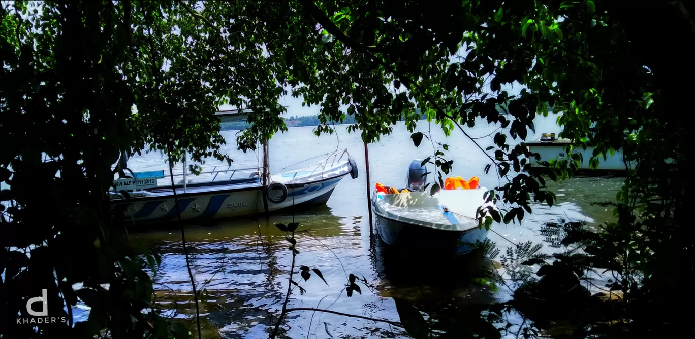 Photo of Pathiramanal Island By Shafeeque C a