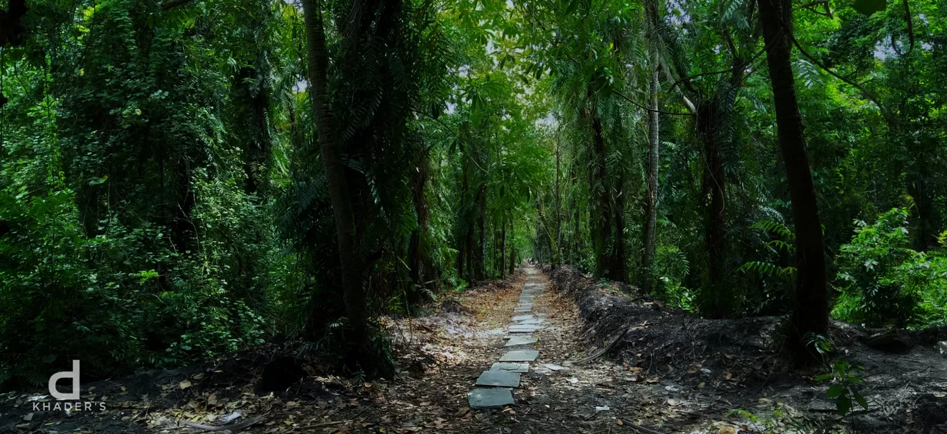 Photo of Pathiramanal Island By Shafeeque C a