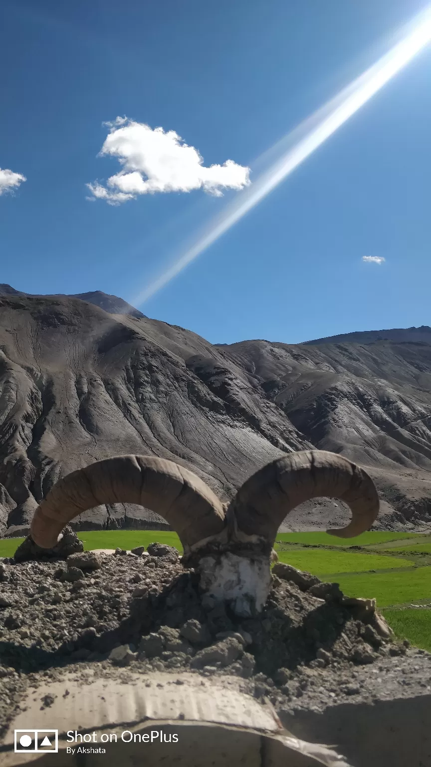 Photo of Ladakh By POOJA S. YADAV