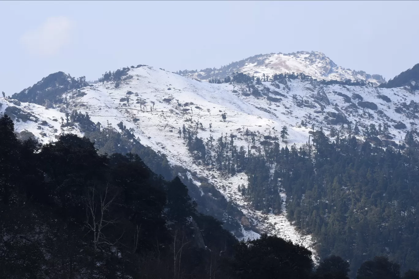 Photo of Churdhar Mahadev Temple By Abbie Singh