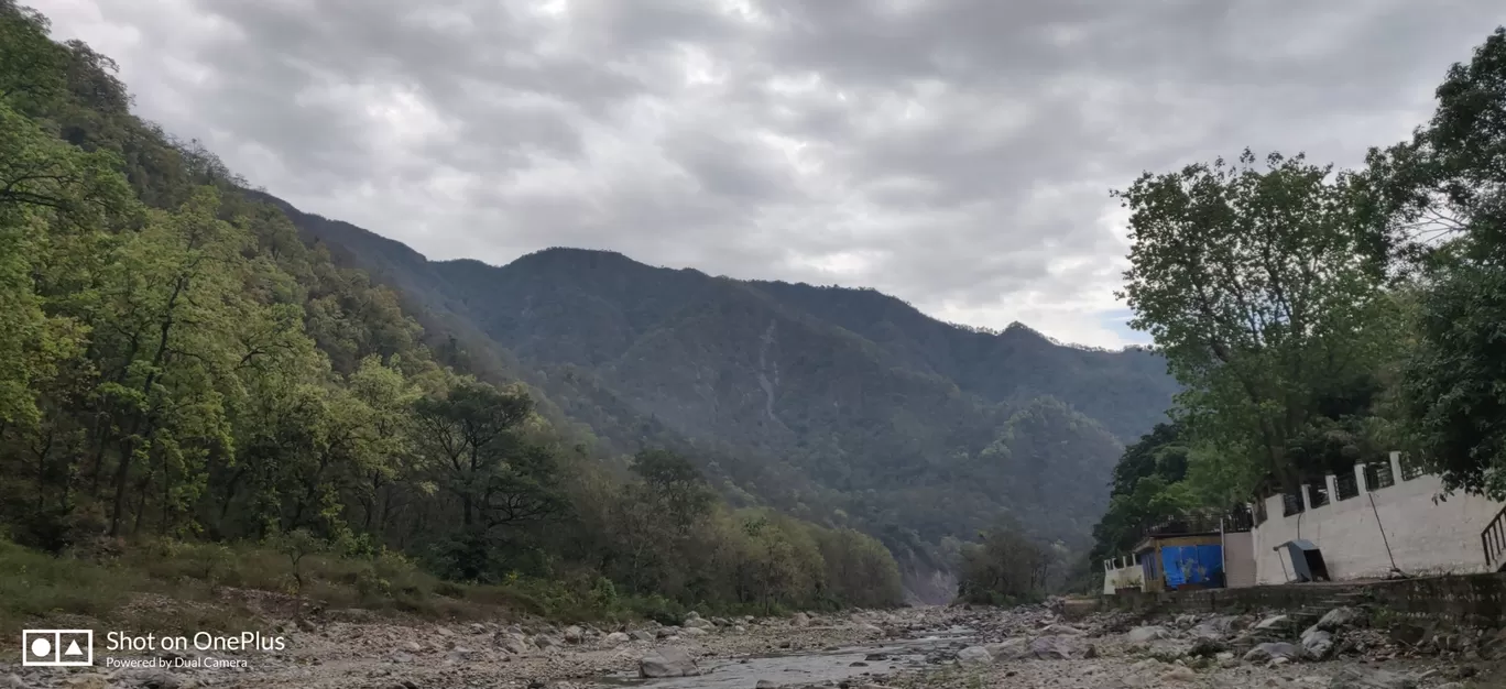 Photo of Rishikesh By VIVEK SINGH