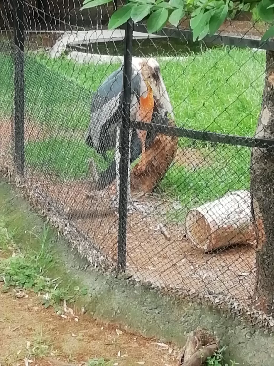 Photo of Arignar Anna Zoological Park By Jai balaji ram