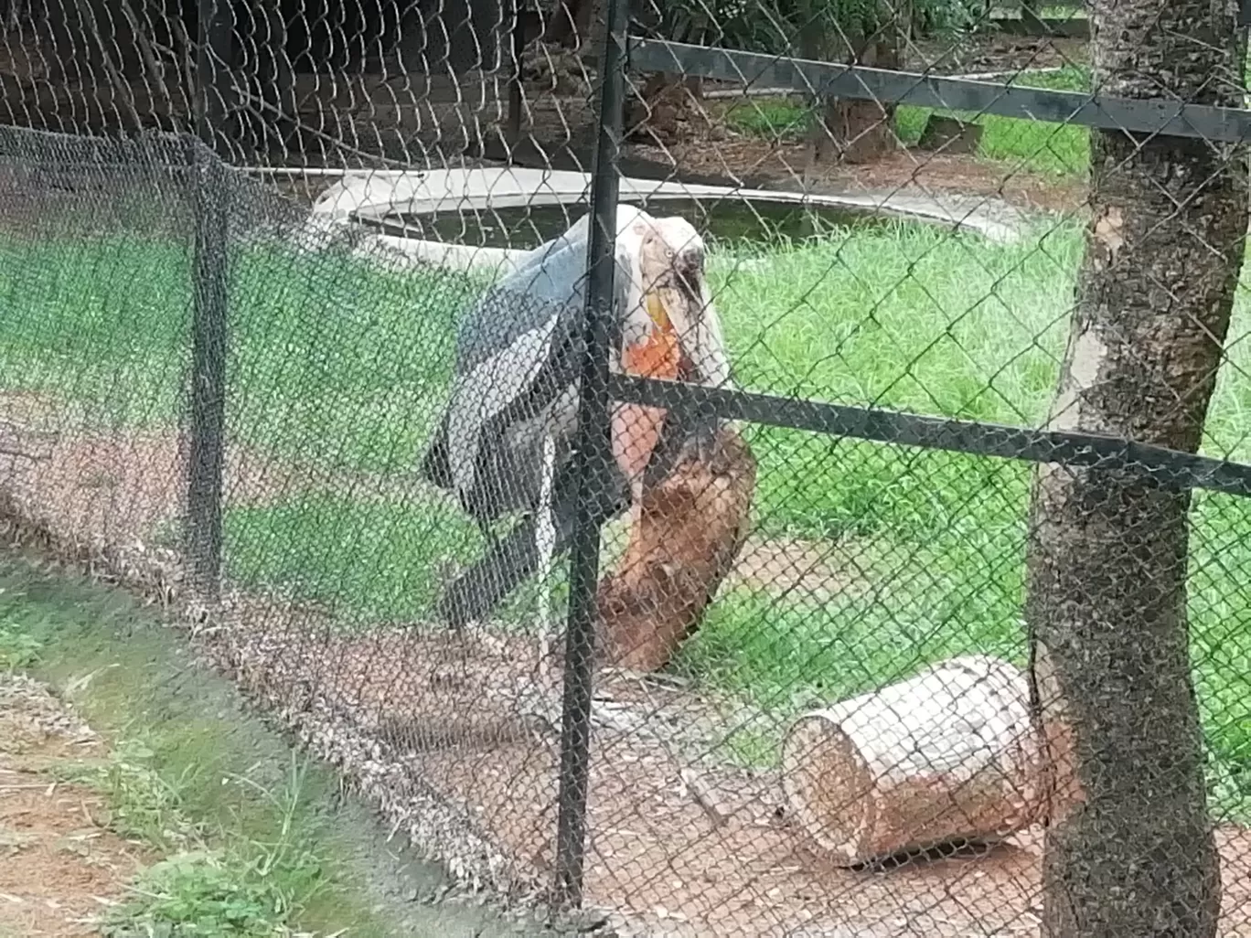 Photo of Arignar Anna Zoological Park By Jai balaji ram