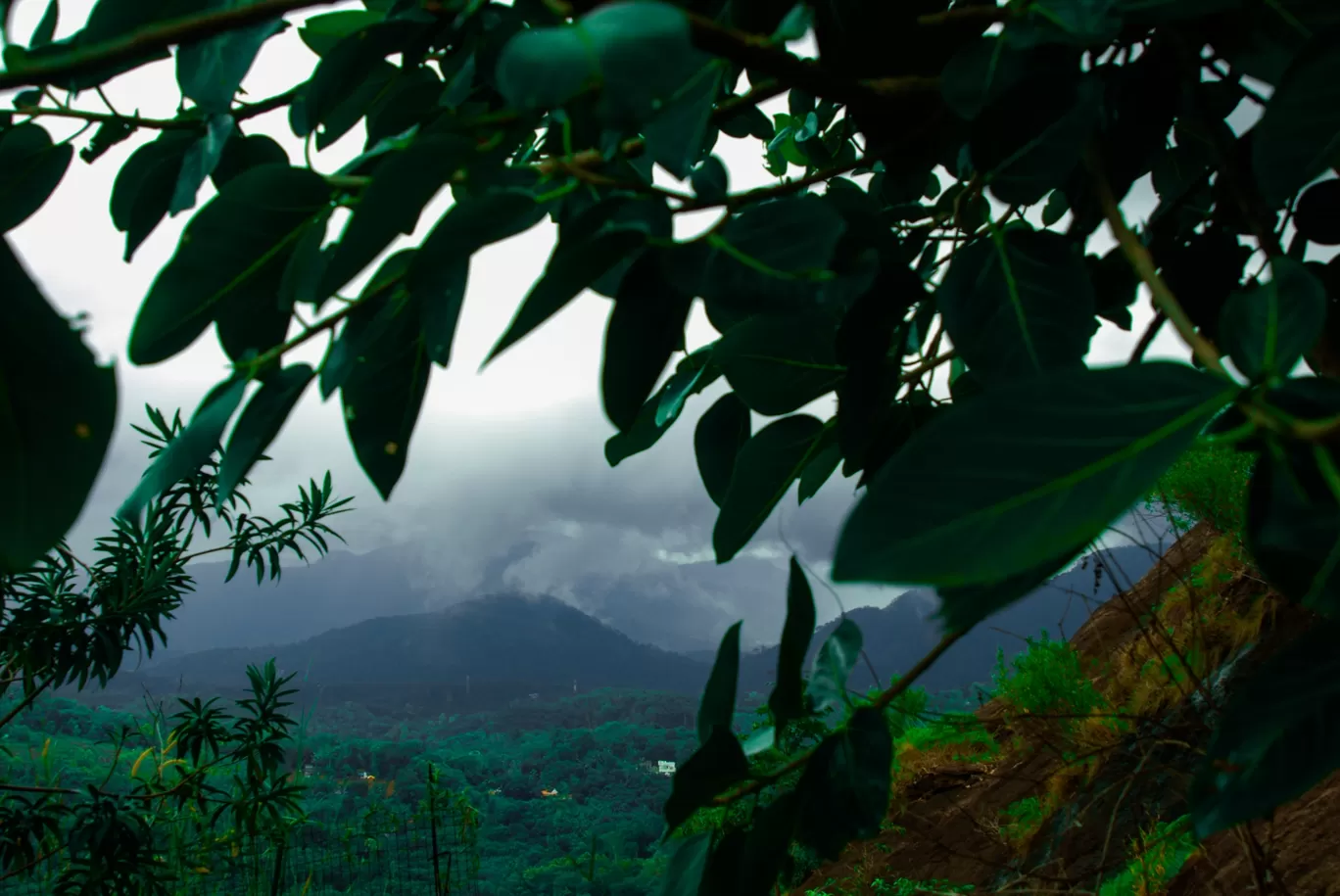 Photo of Kerala By Hari Sankar B