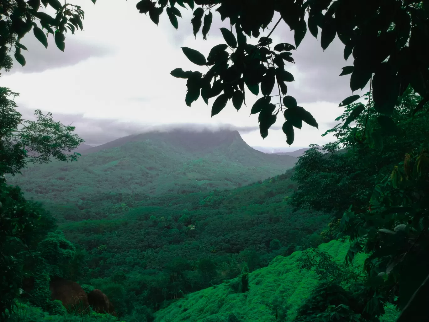 Photo of Kerala By Hari Sankar B