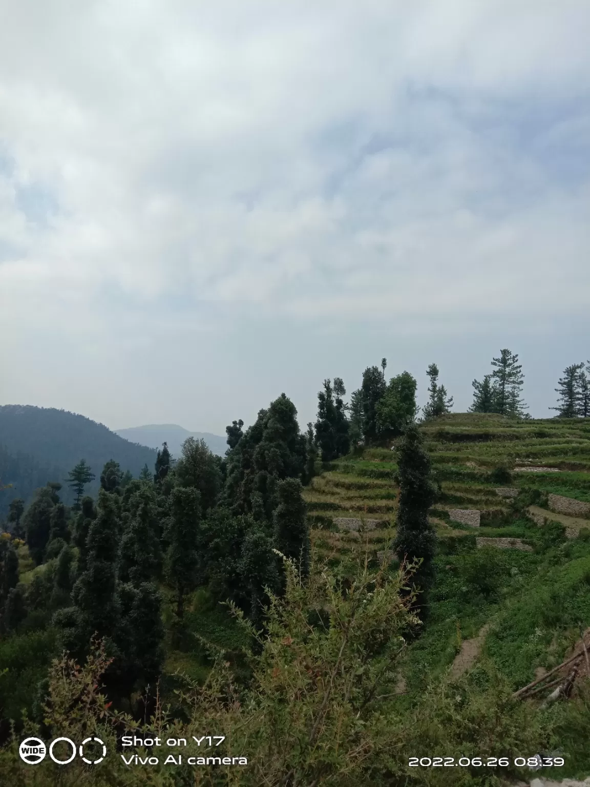 Photo of Kamrunag Temple By prashant dhiman