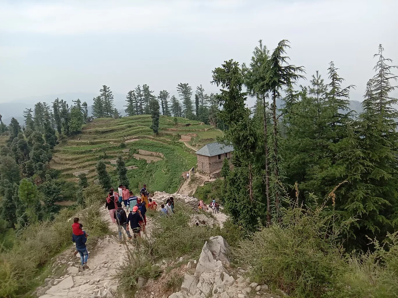 Photo of Kamrunag Temple By prashant dhiman