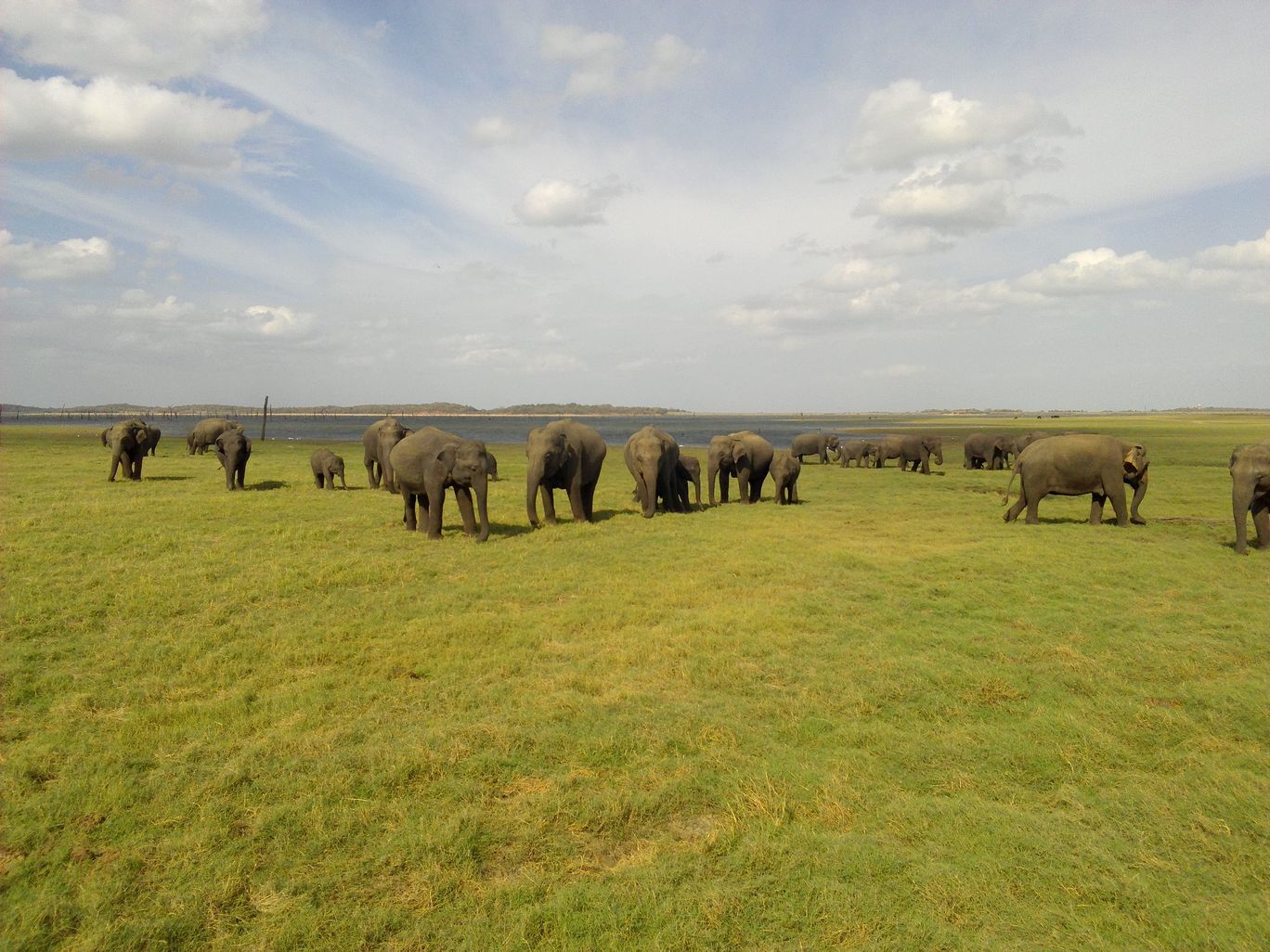 Photo of Safari FUN !!! By Exploring Sri Lanka