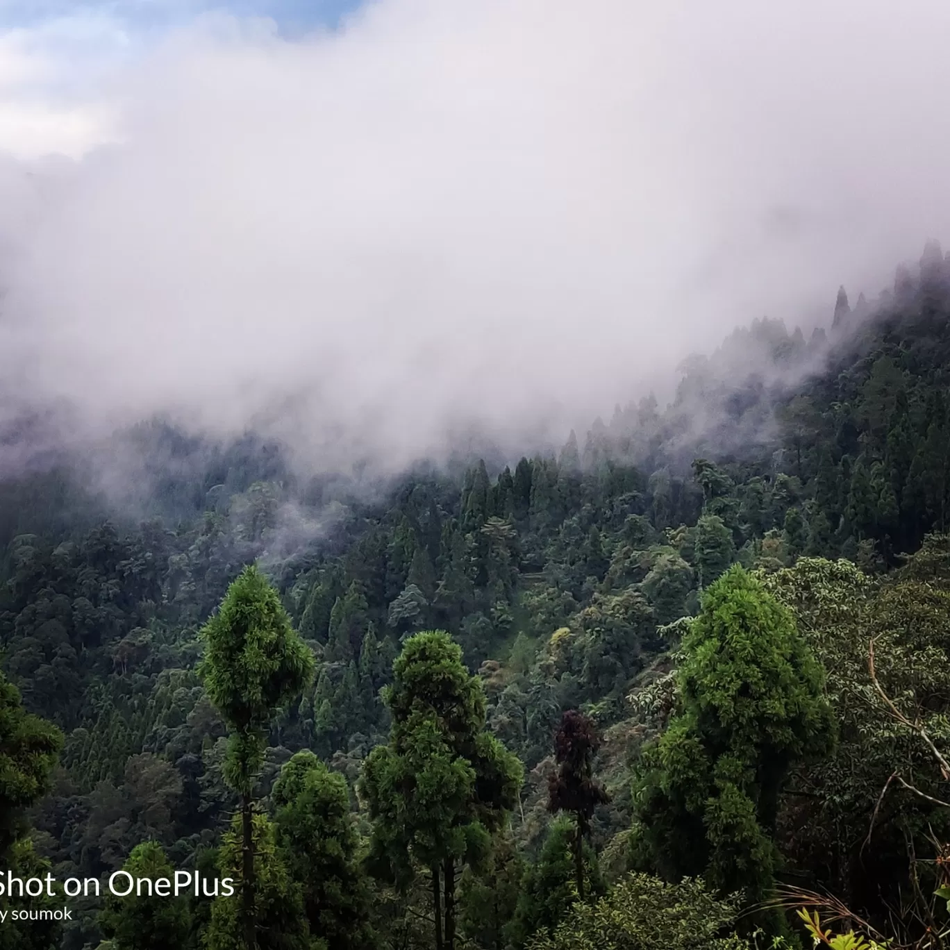 Photo of Neora Valley National Park By Soumok Chatterjee