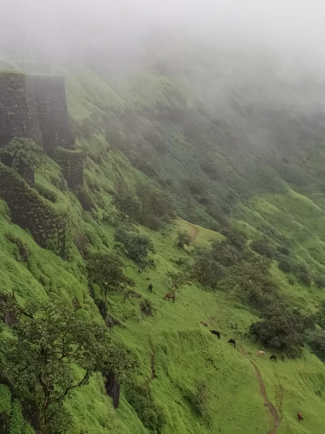 Photo of Rajgad Fort By Satyandhar Kawathekar