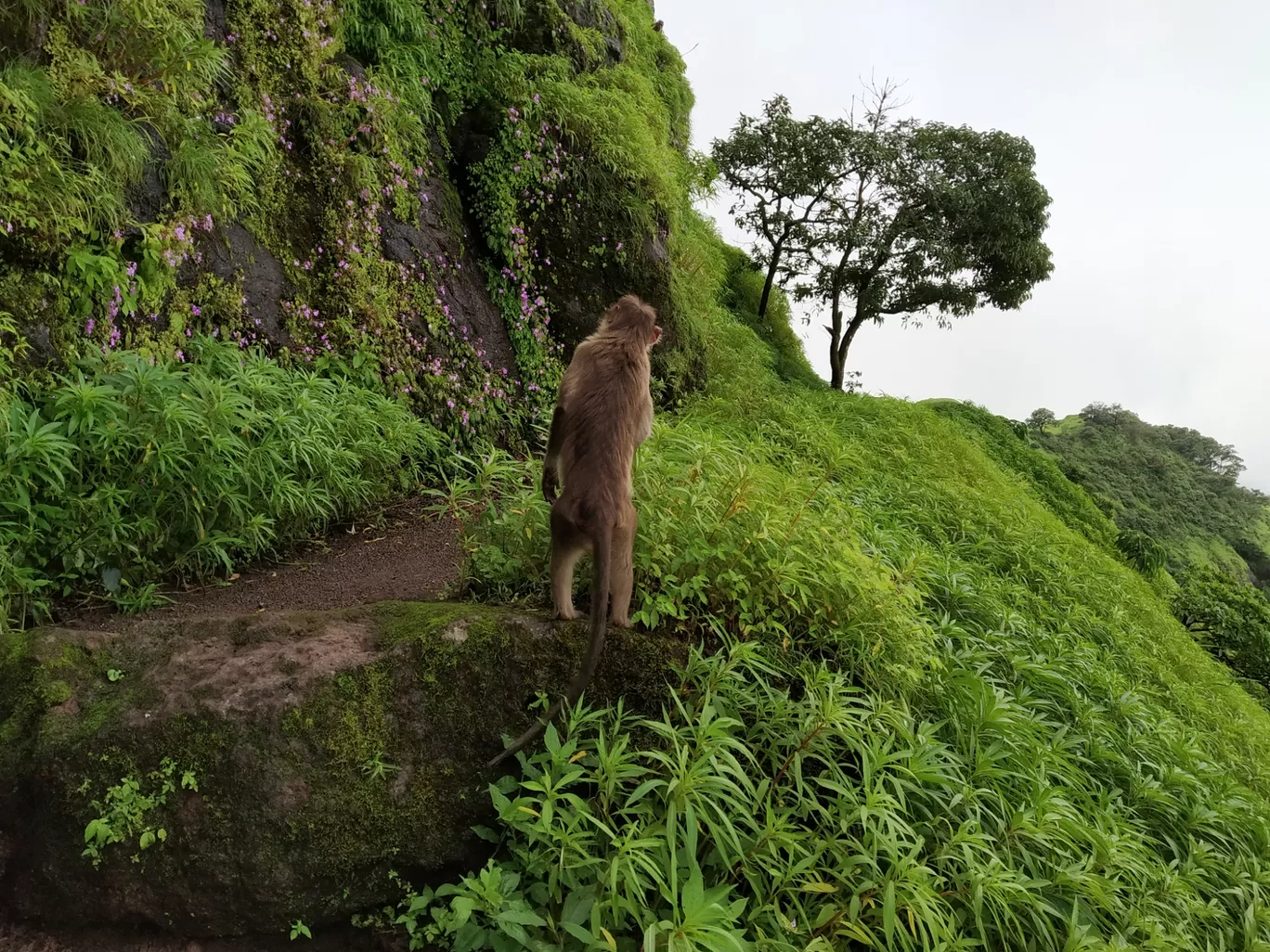 Photo of Rajgad Fort By Satyandhar Kawathekar