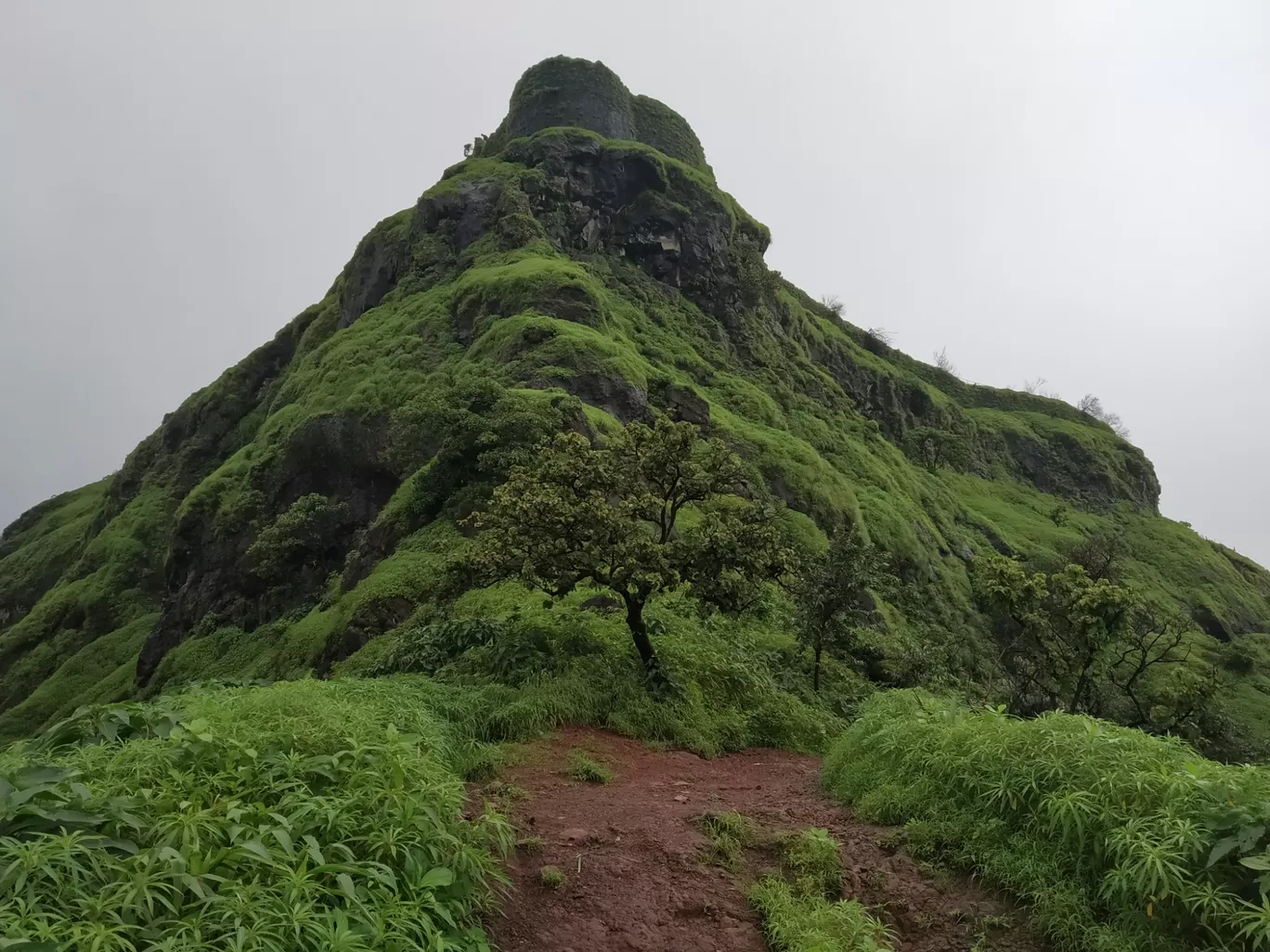 Photo of Rajgad Fort By Satyandhar Kawathekar
