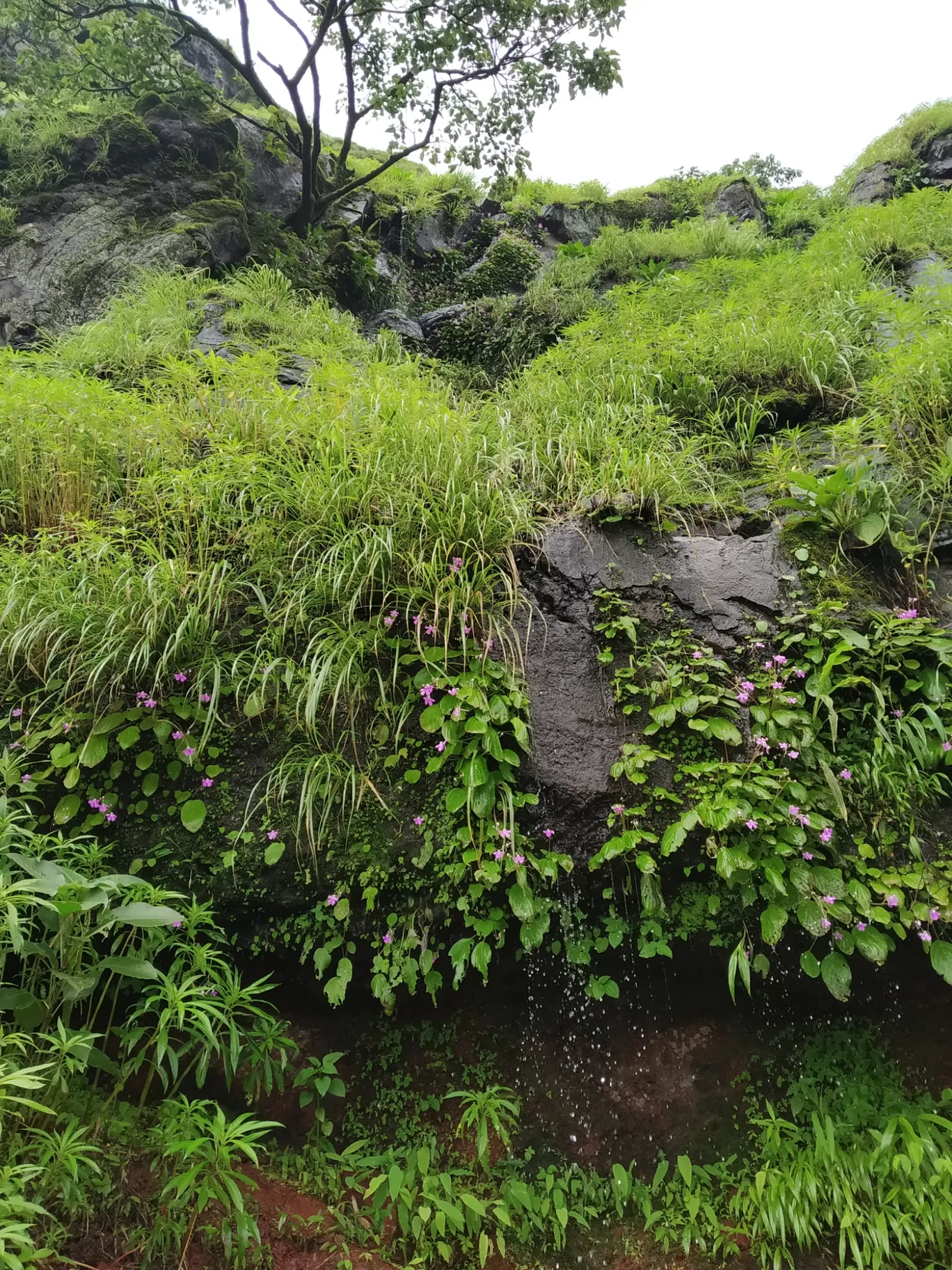 Photo of Rajgad Fort By Satyandhar Kawathekar