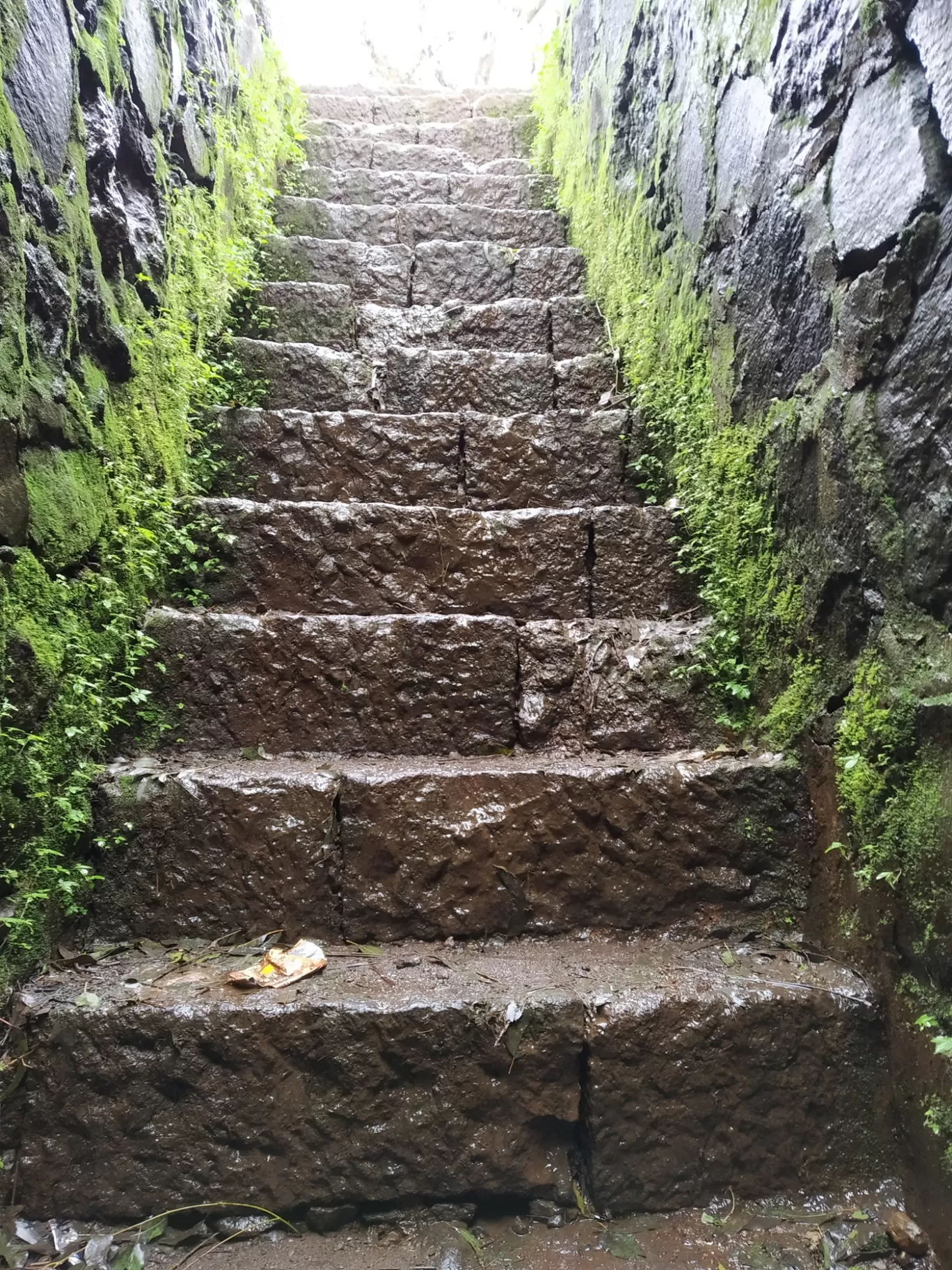 Photo of Rajgad Fort By Satyandhar Kawathekar