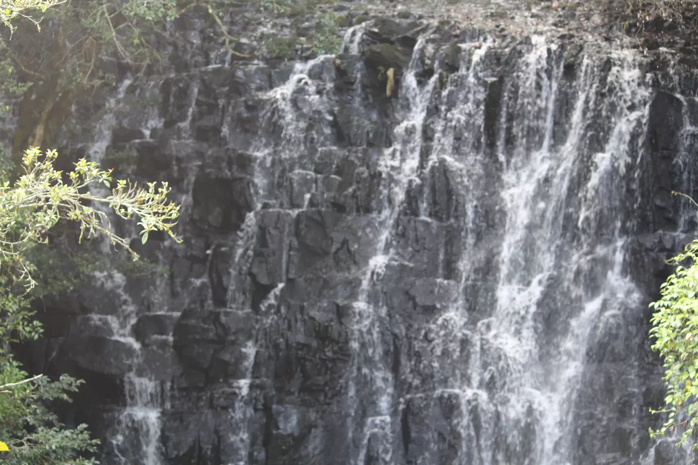 Photo of Elephant Falls By Shubhi Gupta