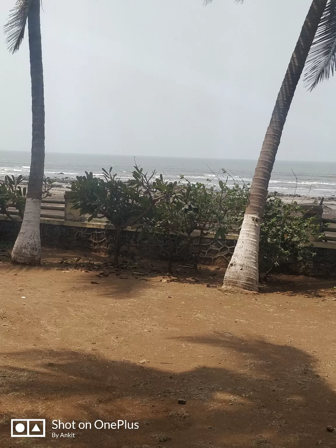 Photo of Mandwa By Ankit Umrani