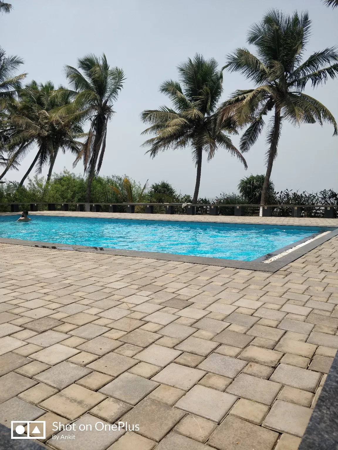 Photo of Mandwa By Ankit Umrani