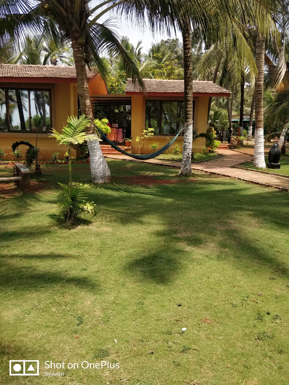 Photo of Mandwa By Ankit Umrani