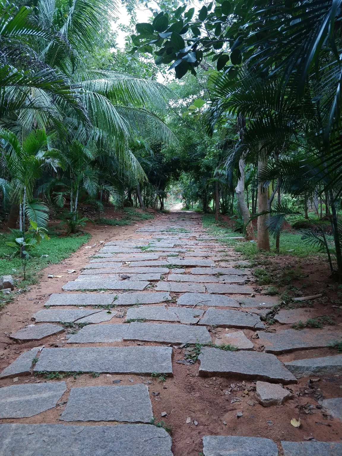 Photo of Bangalore By Ankit Umrani