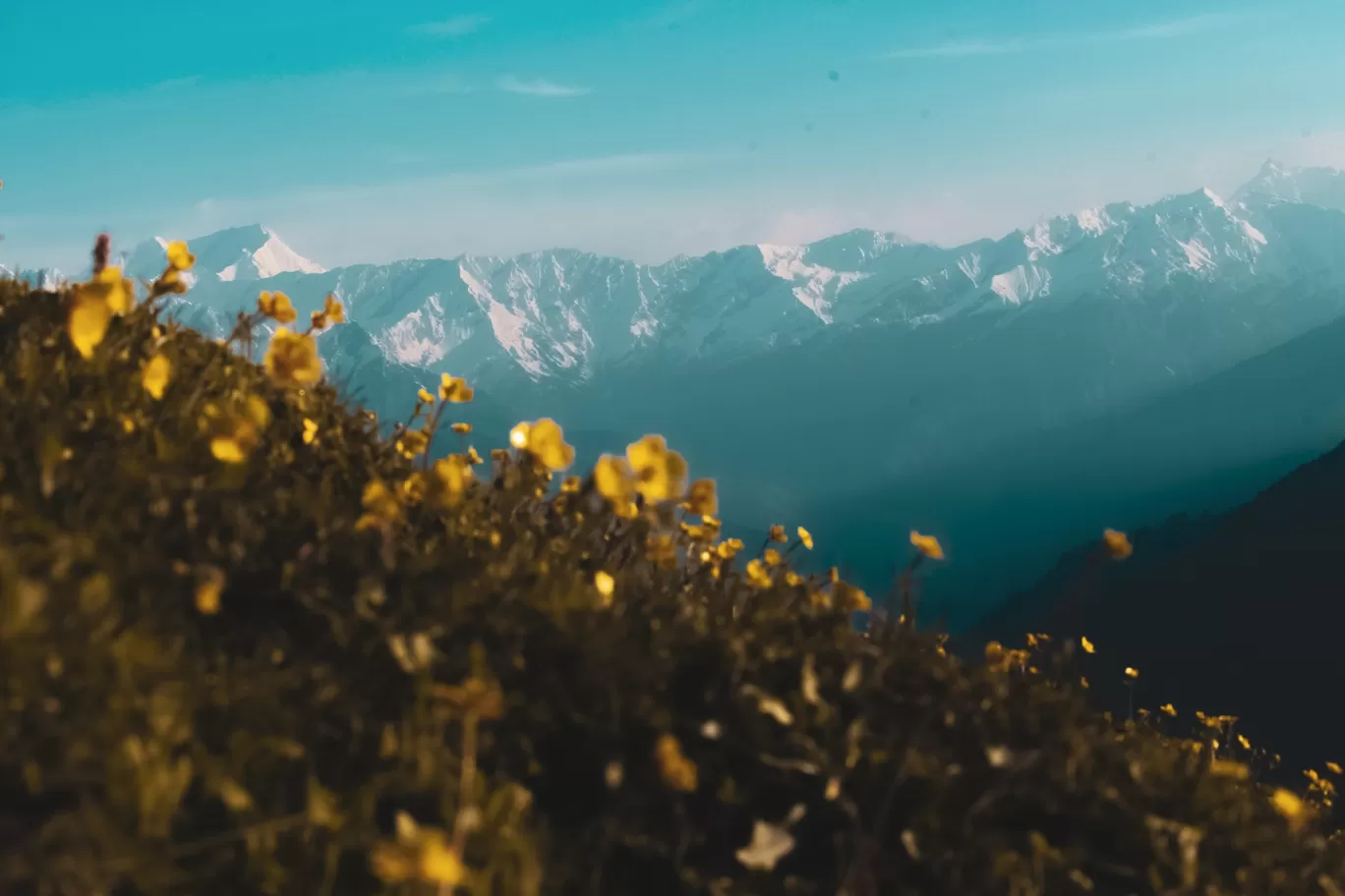 Photo of Chanderkhani Pass By Sourav Mahant