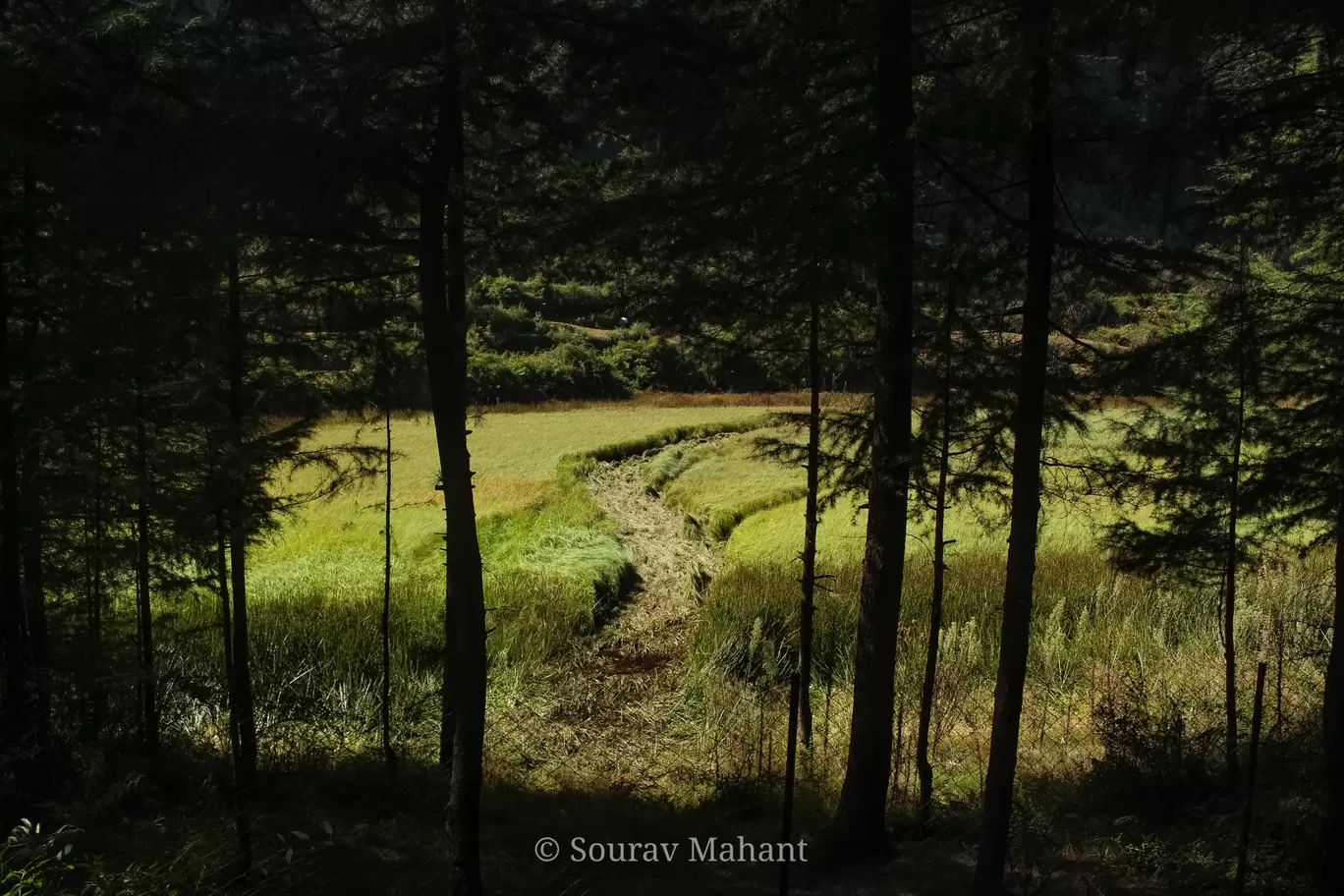 Photo of Pundrik Rishi Lake By Sourav Mahant