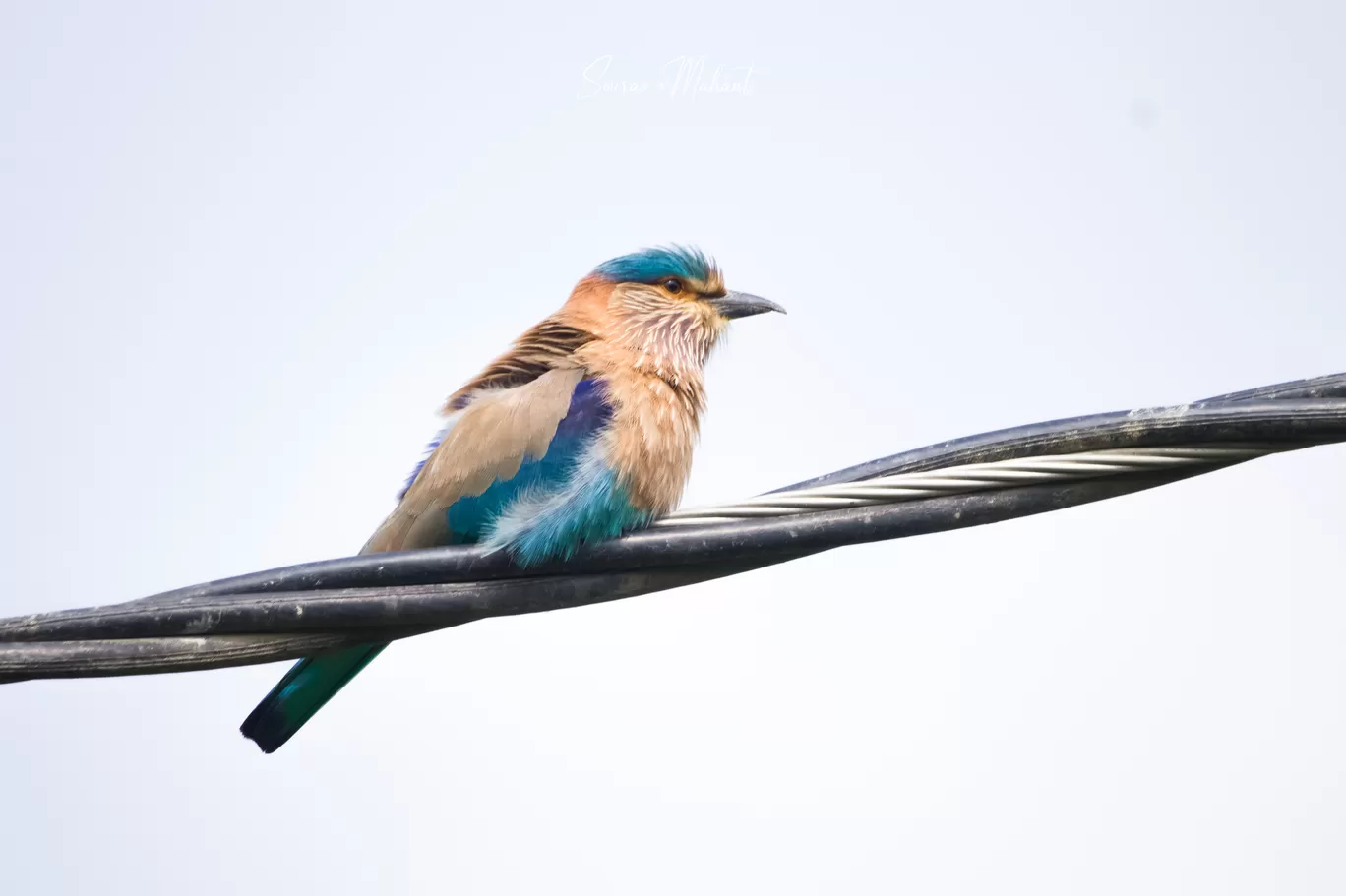 Photo of Dhaman By Sourav Mahant