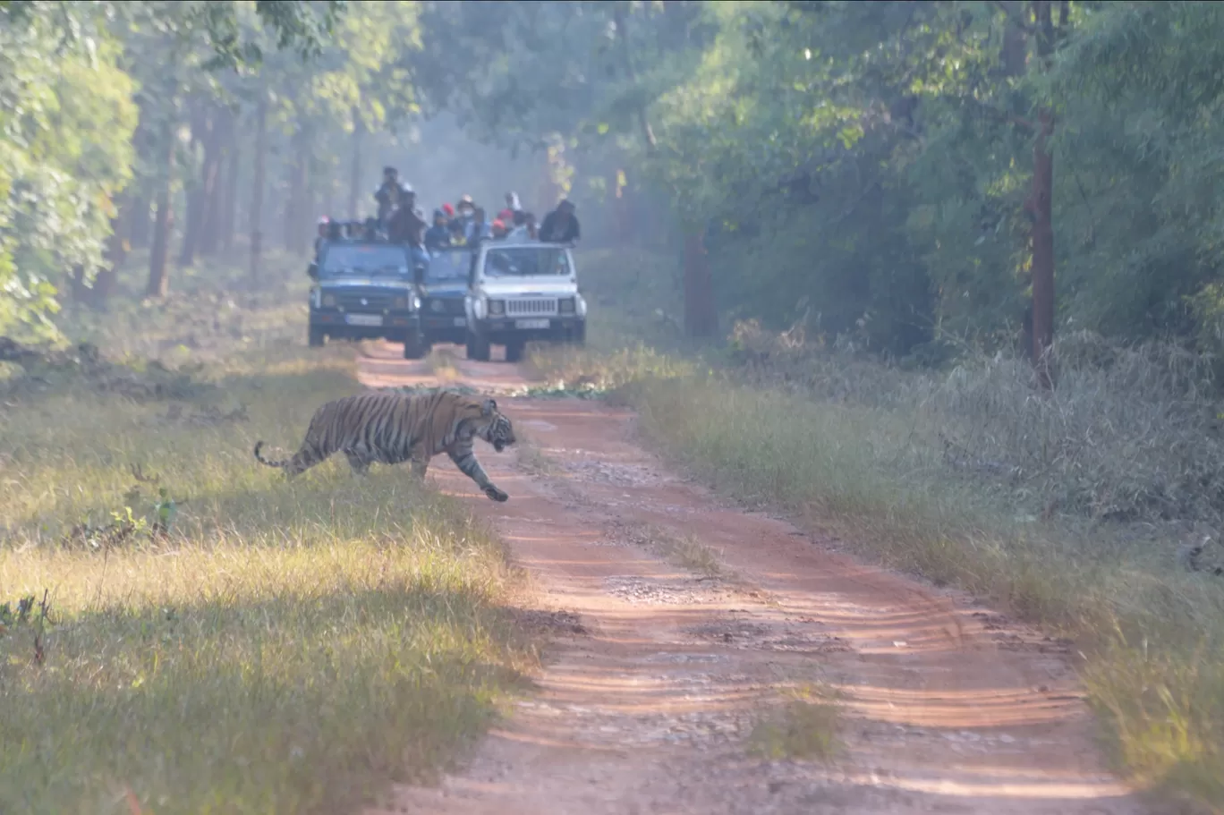 Photo of Agarzari Gate Tadoba By zrooming_around