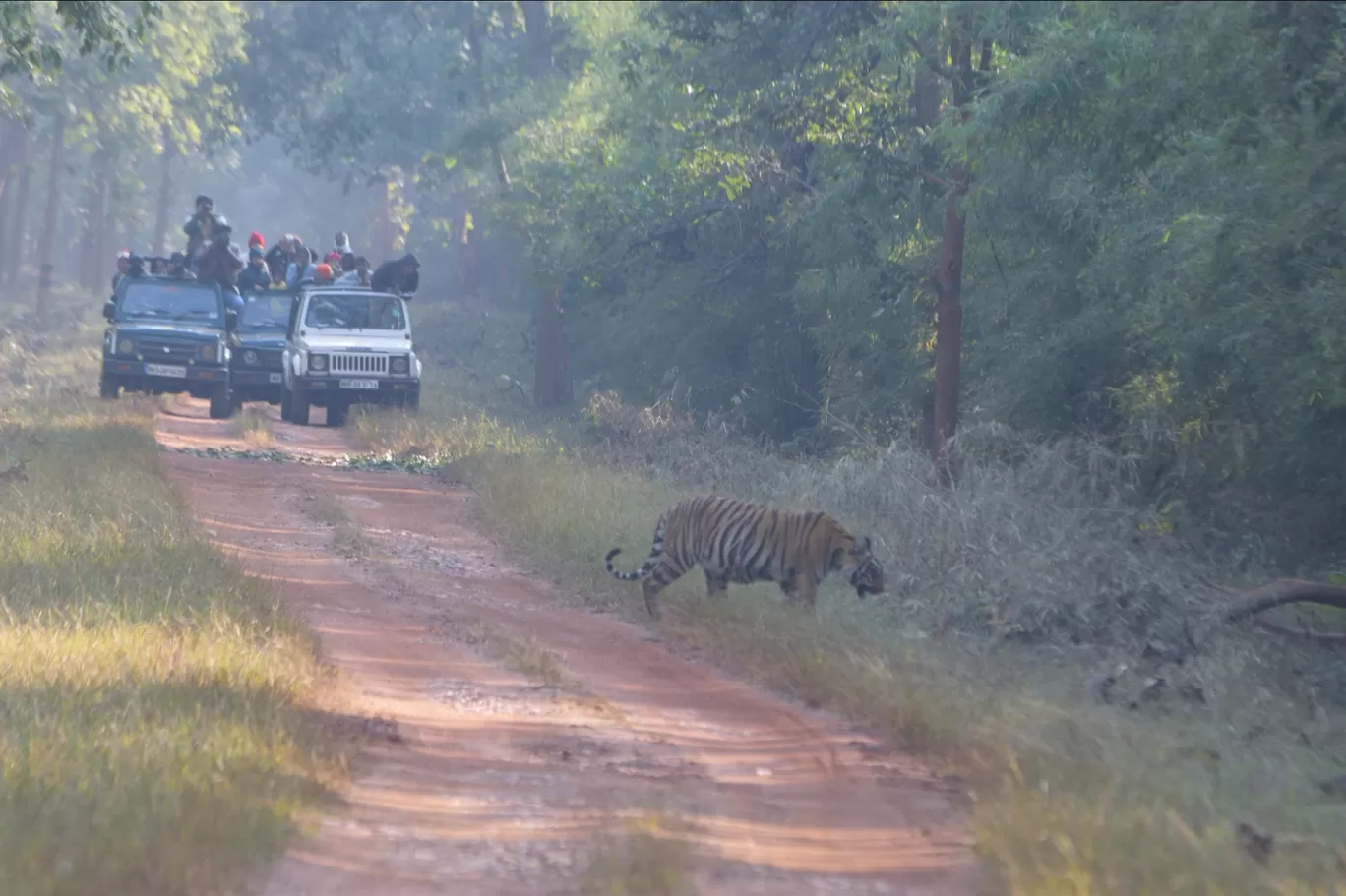 Photo of Agarzari Gate Tadoba By zrooming_around