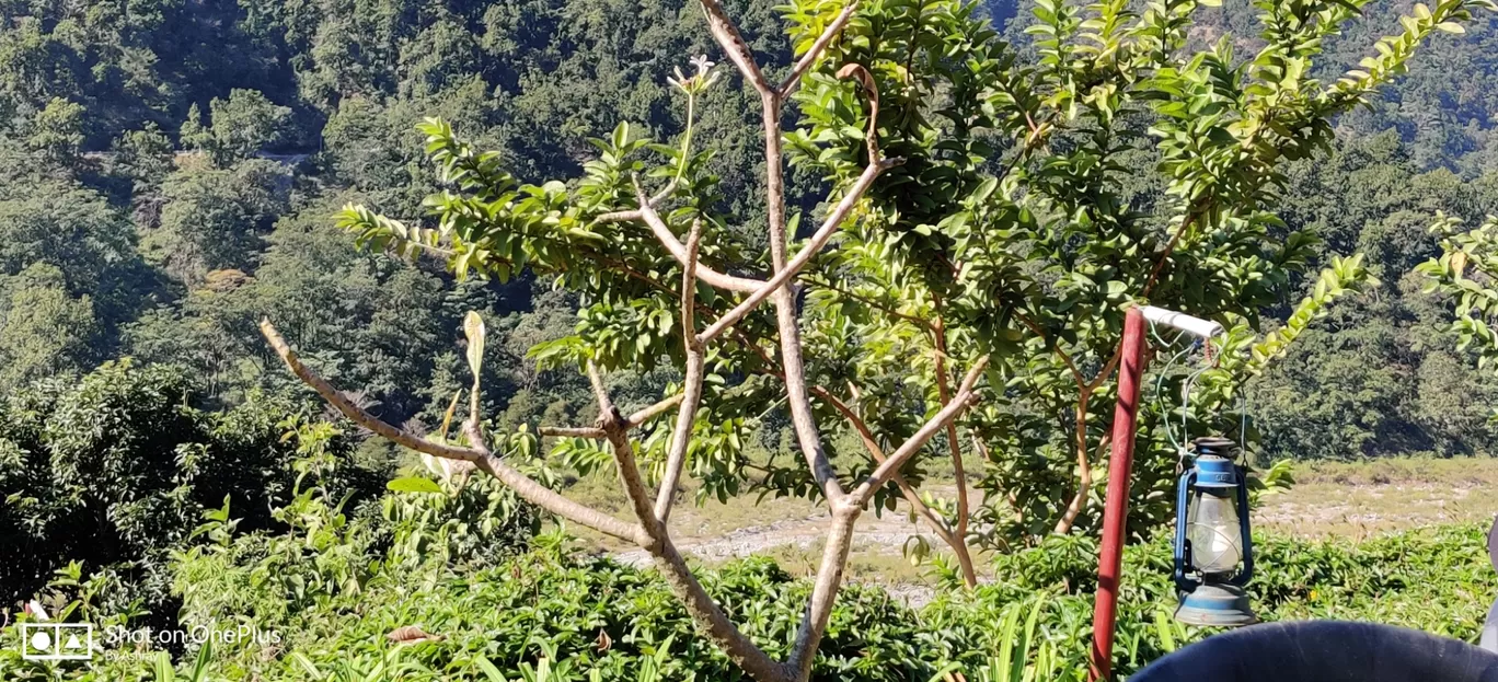 Photo of Taarini Corbett Camp By Ashray
