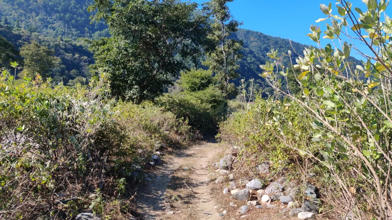 Photo of Taarini Corbett Camp By Ashray