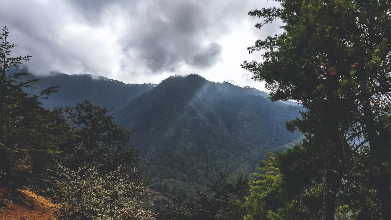 Photo of Paro By Setu Chhaya