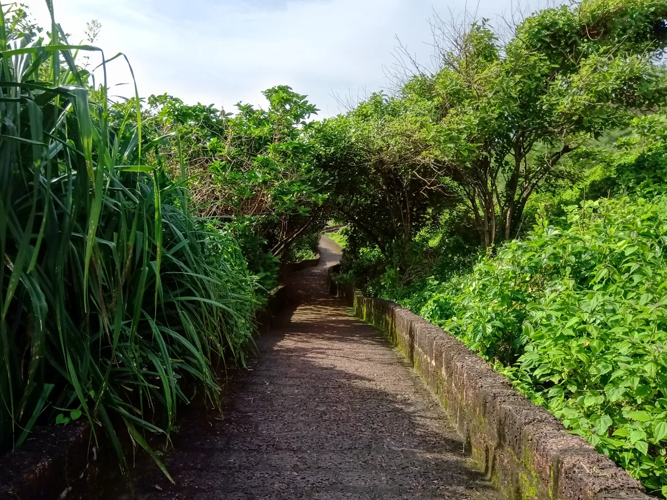 Photo of Bekal Fort By Sanjay Soman