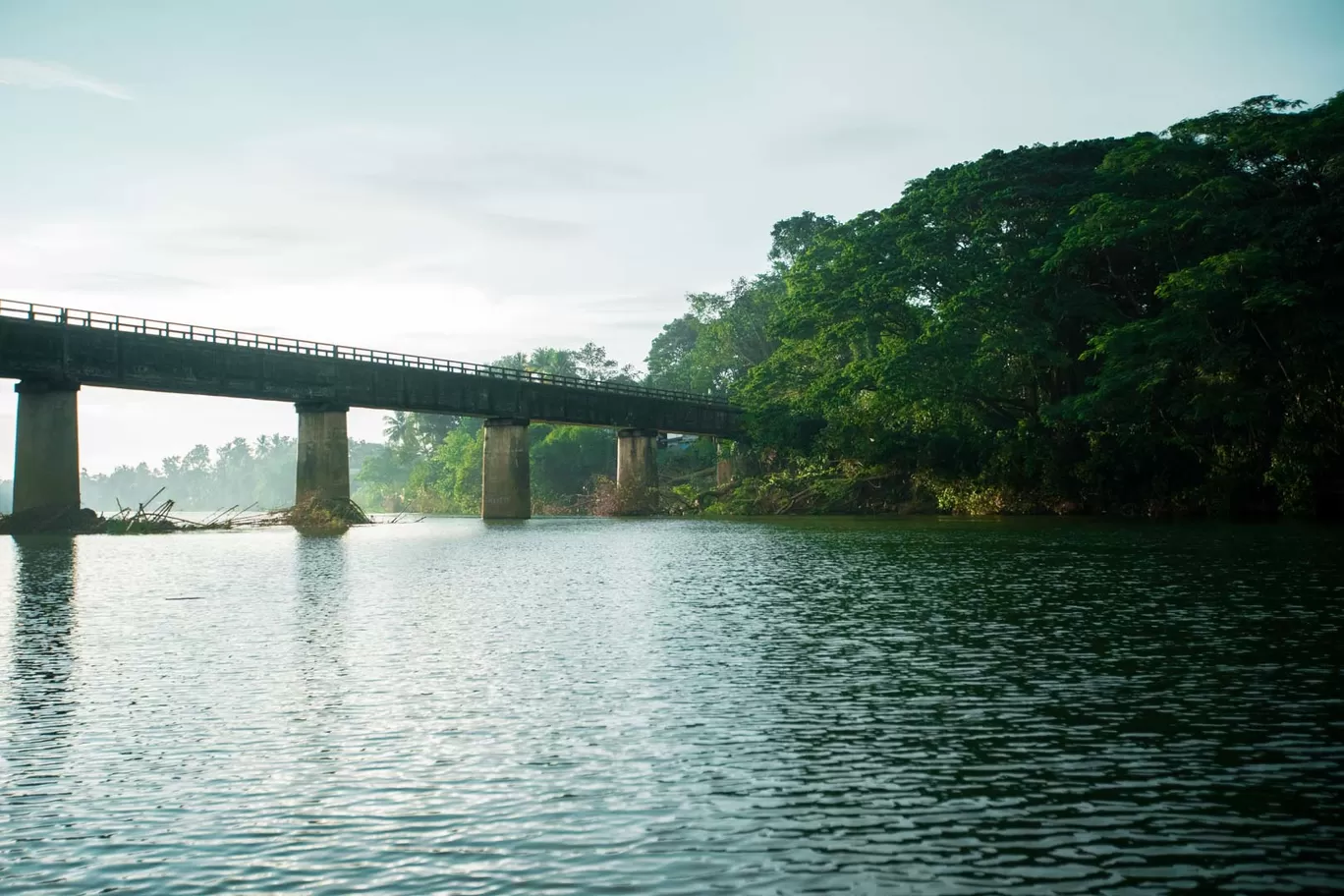 Photo of Aluva By Saahil Rahman