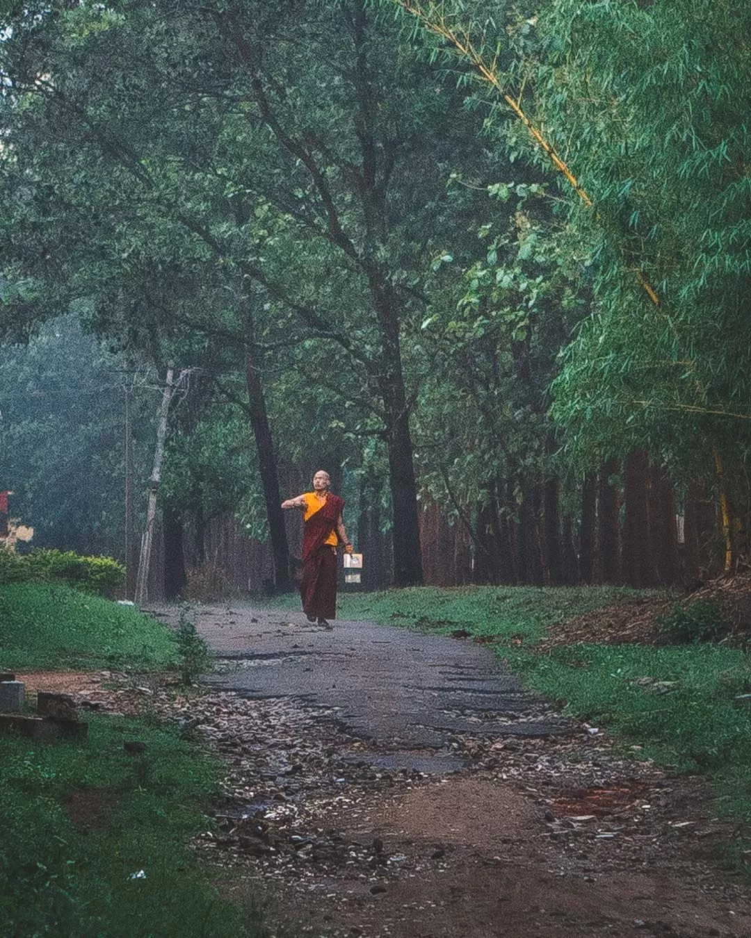 Photo of Namdroling Monastery Golden Temple By Saahil Rahman
