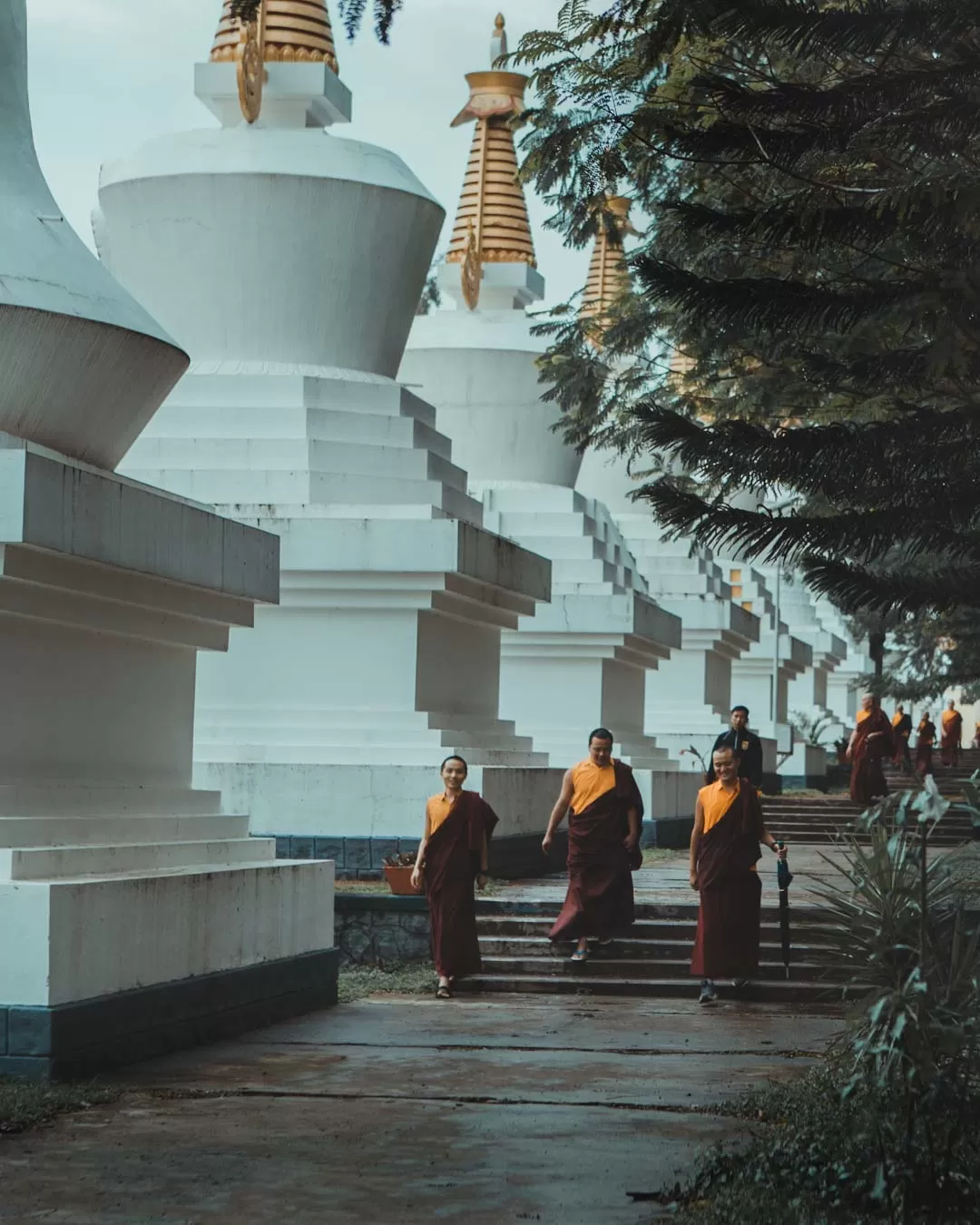 Photo of Namdroling Monastery Golden Temple By Saahil Rahman